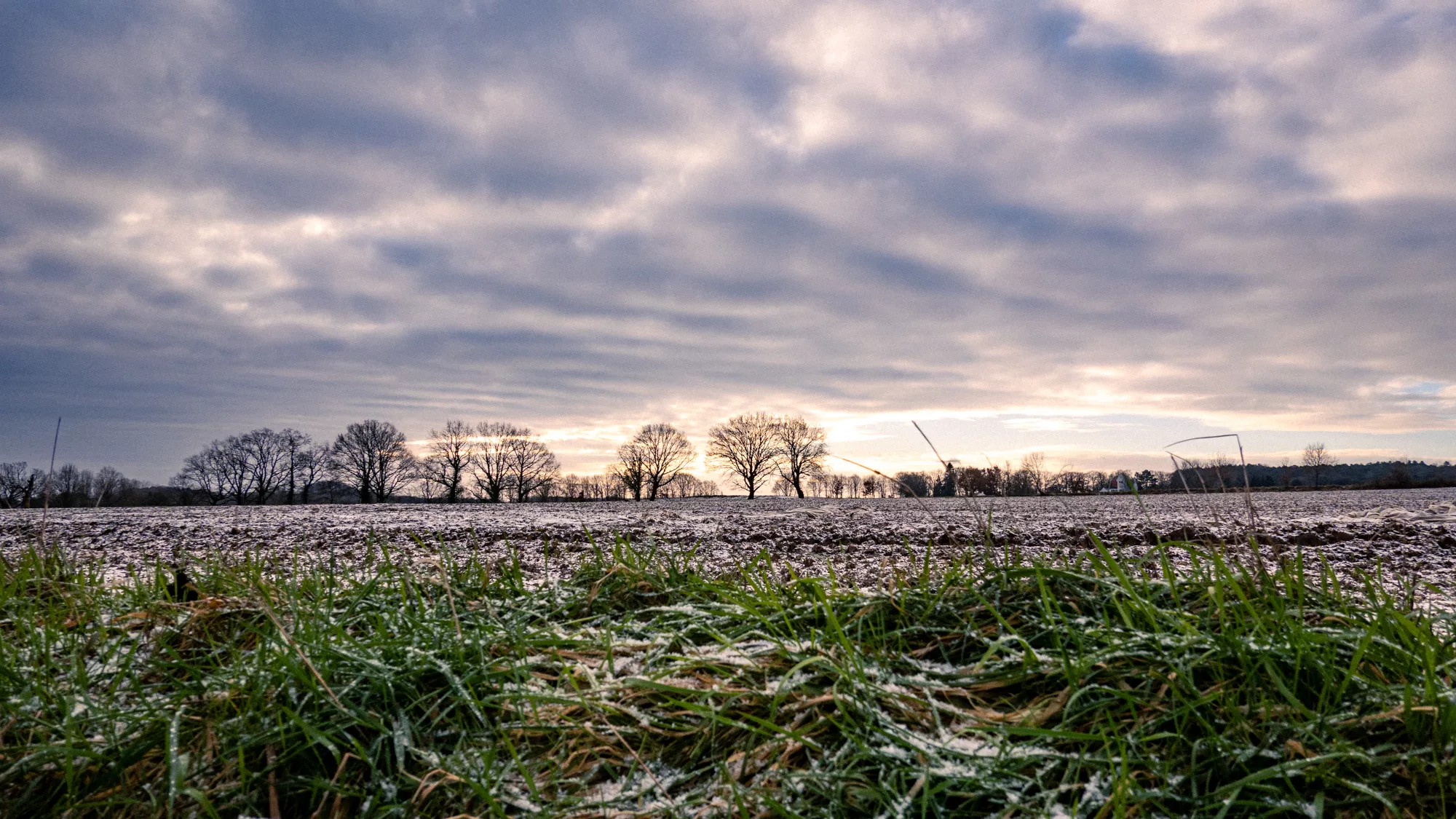 Brabantse Wouden