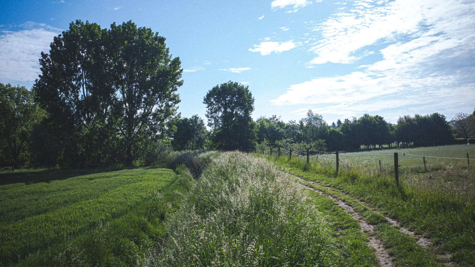 Buggenhout
