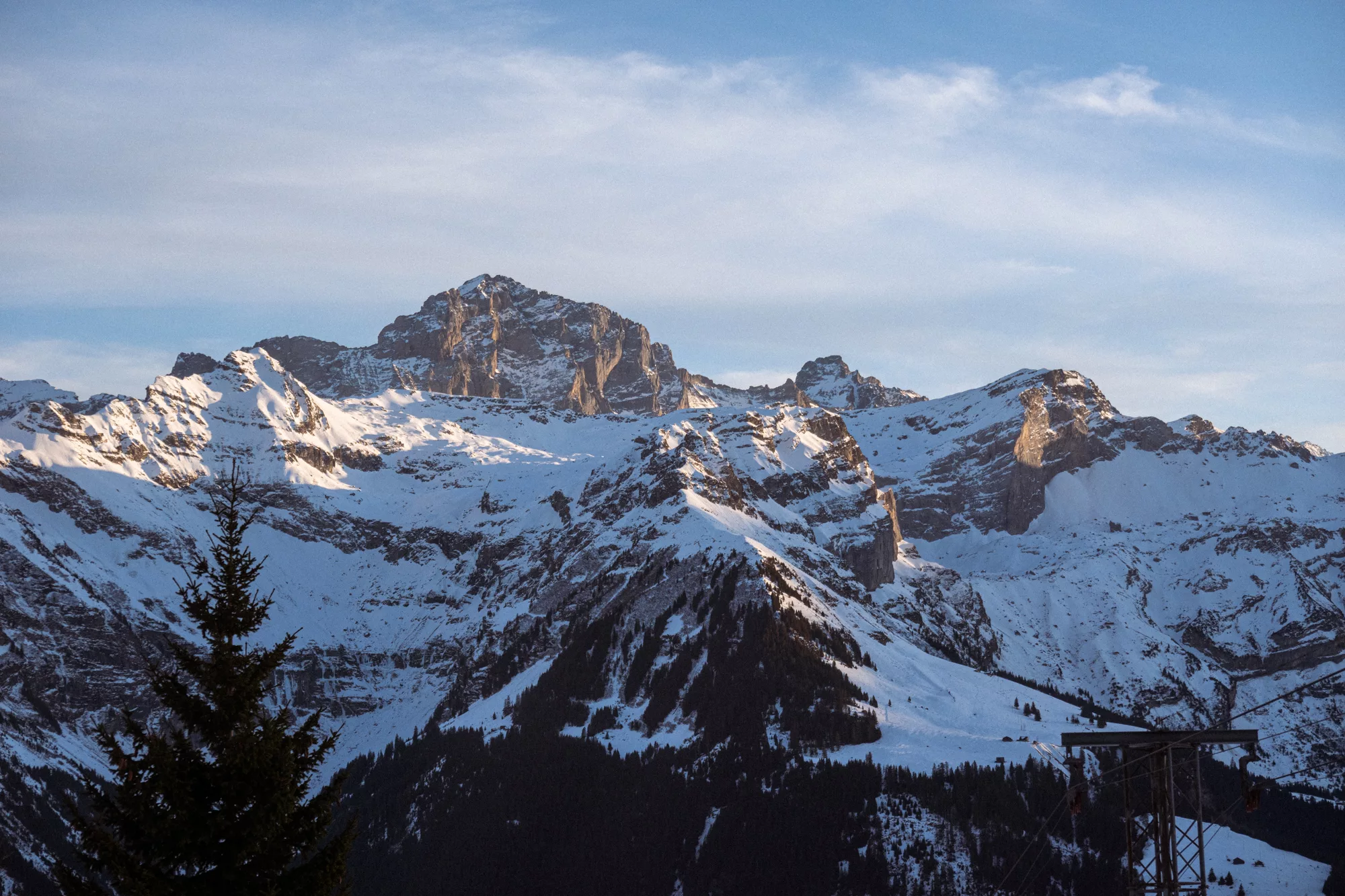 Flechsee