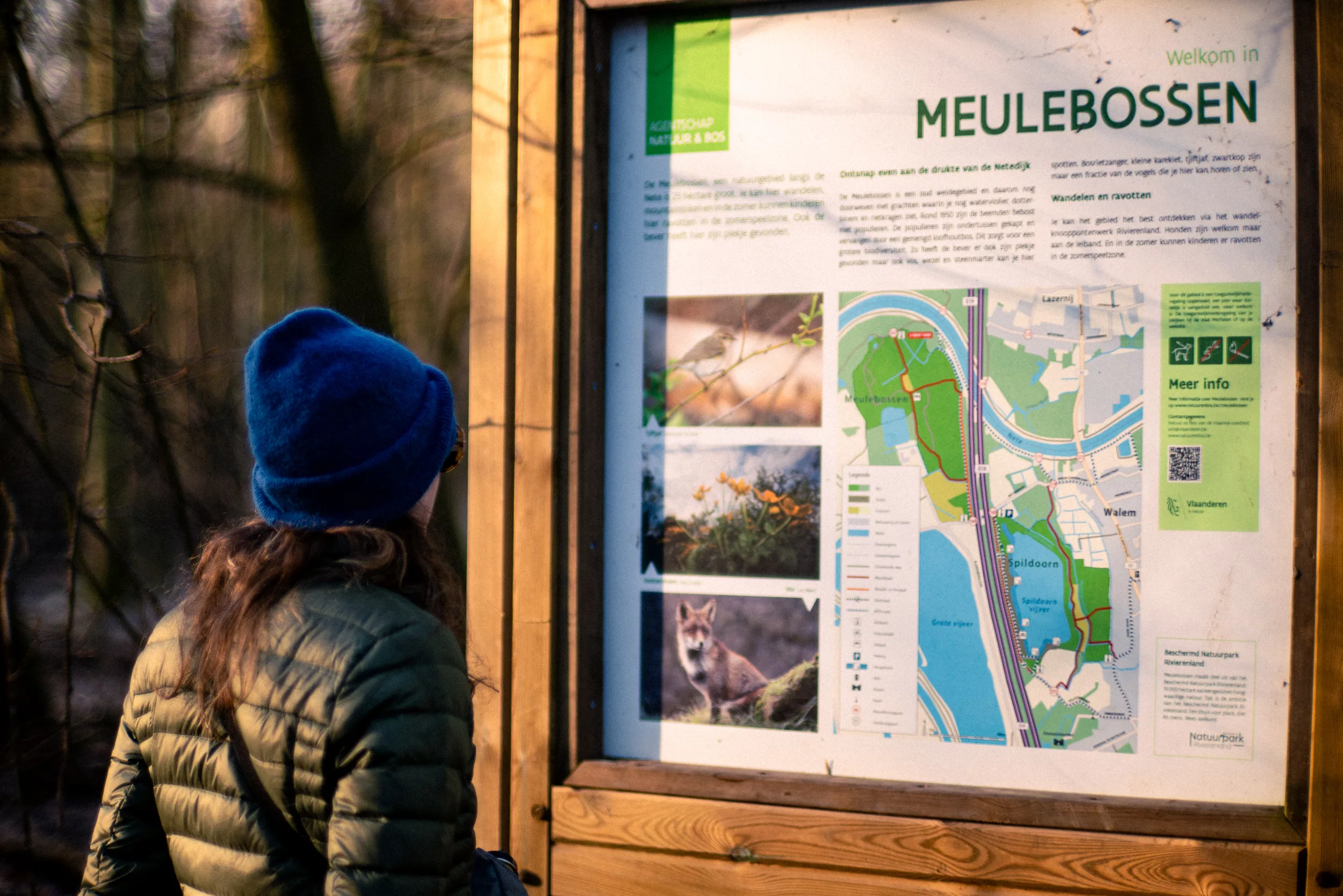 Meulebossen